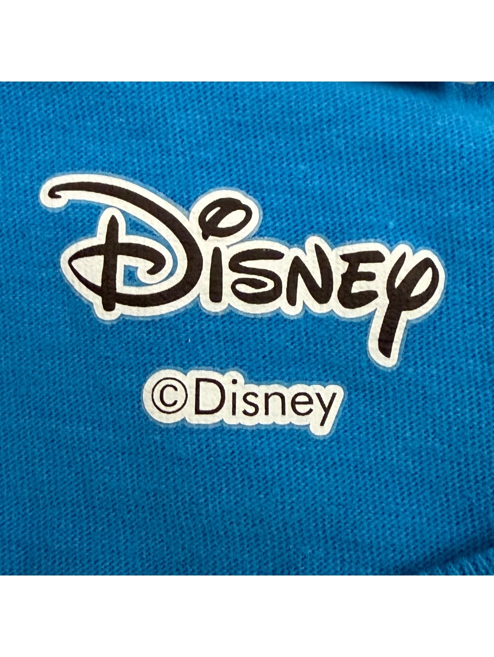 Disney The Lion King Hakuna Matata Graphic T-Shirt Blue Women’s XXL Simba Nala - Picture 3 of 5